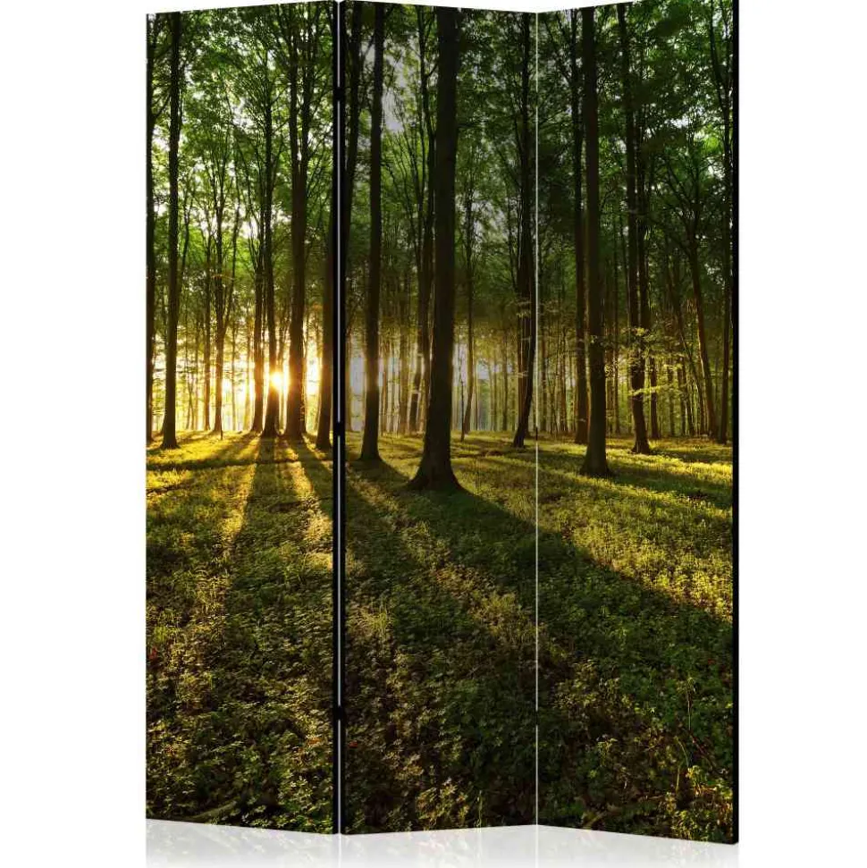 135 cm breiter Raumteiler mit Wald Motiv - Jacopo