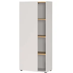 Aktenschrank in Hellgrau und Wildeiche Optik - Chiron