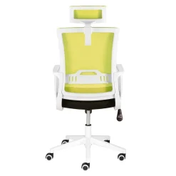 Armlehnen Computerstuhl in Hellgrün & Schwarz - Veronica