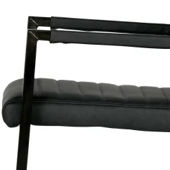 Armlehnen Freischwinger in Anthrazit - Birte (2er Set)