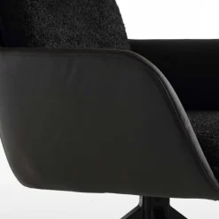 Armlehnenstuhl - drehbar um 180 Grad - Harry (2er Set)