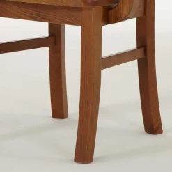 Armlehnstuhl Bistrita in Bernsteinfarben (2er Set)