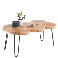 Baumscheiben Wohnzimmertisch mit Haarnadel Beinen - Ranuves