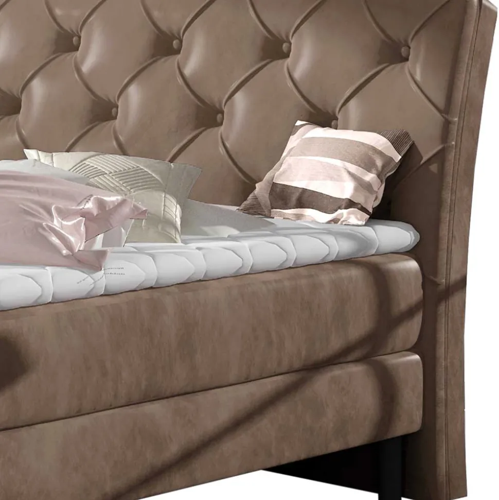 Chesterfield Samtbett in Hellbraun - Trenta