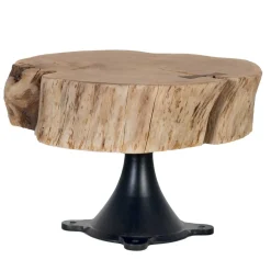 Couchtisch mit dicker Baumscheibe als Platte - Corgova