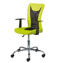 Design Bürostuhl in Hellgrün & Schwarz - Next