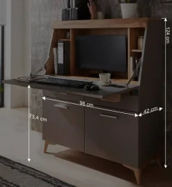 Design Sekretär in Grau & Eiche NB - Zella