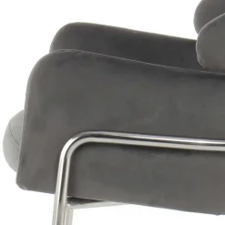 Eleganter Armlehnstuhl in Grau & Silber - Ecolosia