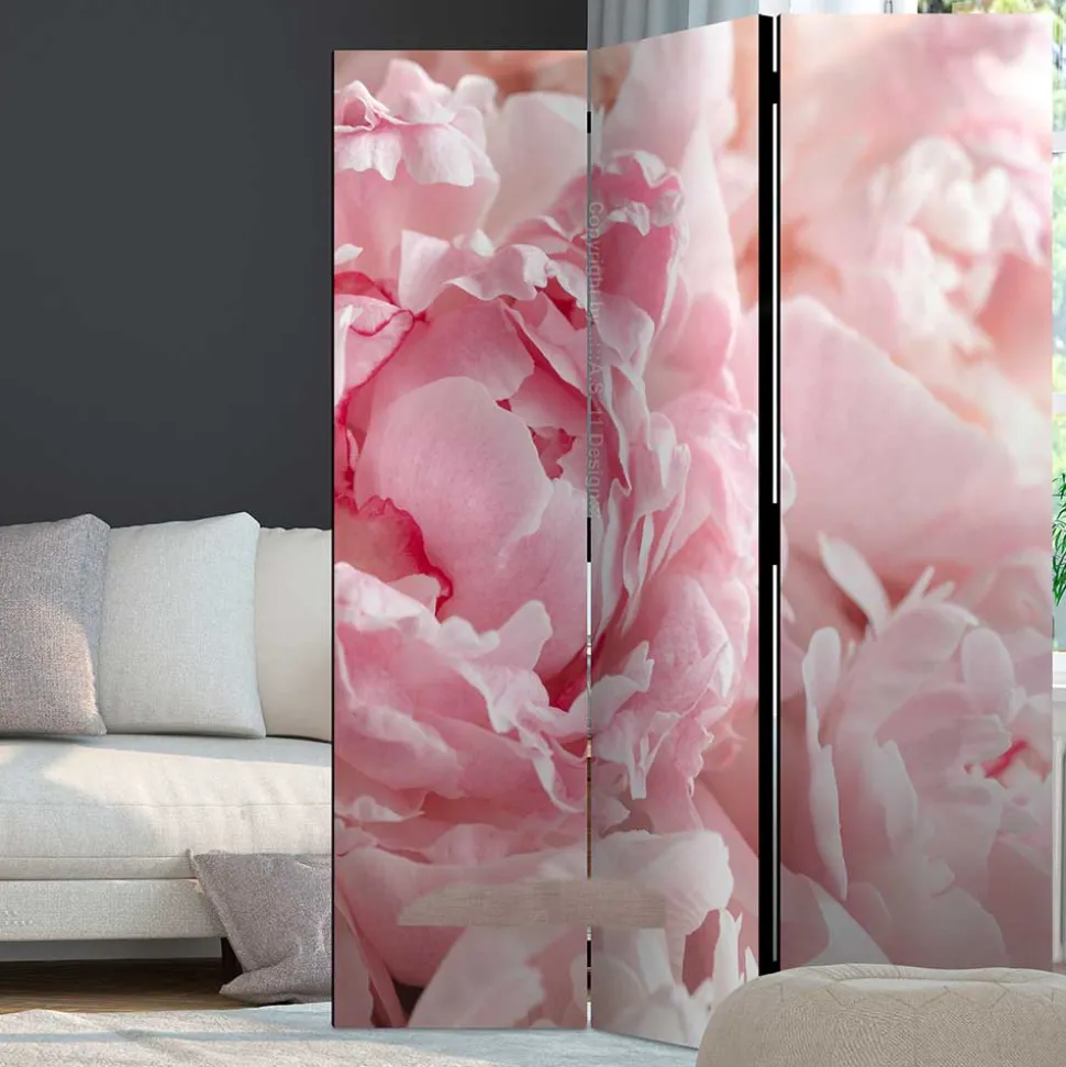 Foto Paravent Close Up Rosen in Rosa - Soms