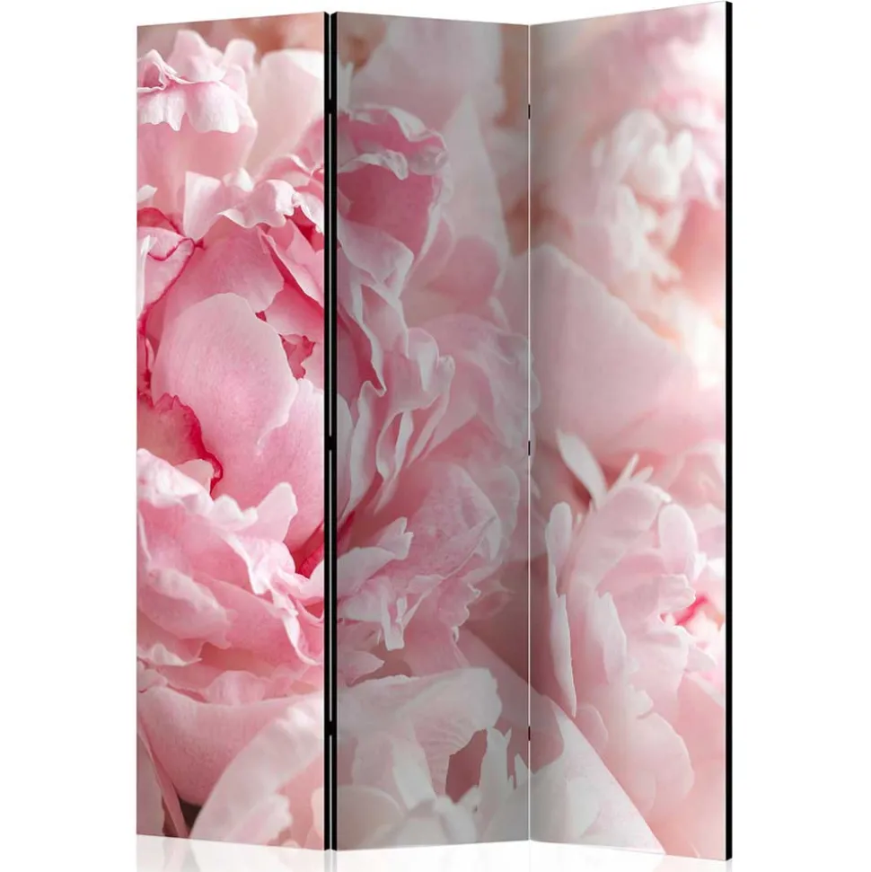 Foto Paravent Close Up Rosen in Rosa - Soms