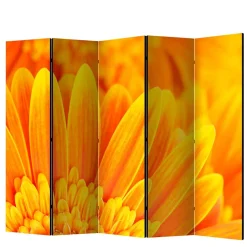 Foto Paravent Gelbe Gerbera Close Up - Apulco