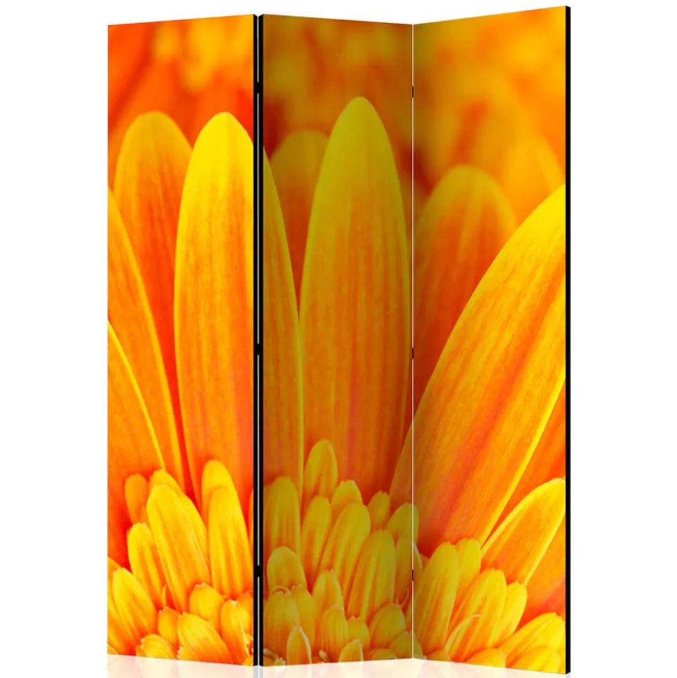 Foto Paravent Gelbe Gerbera Close Up - Apulco