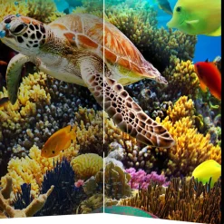 Foto Paravent Riff Bewohner & Trauminsel - Tarantro