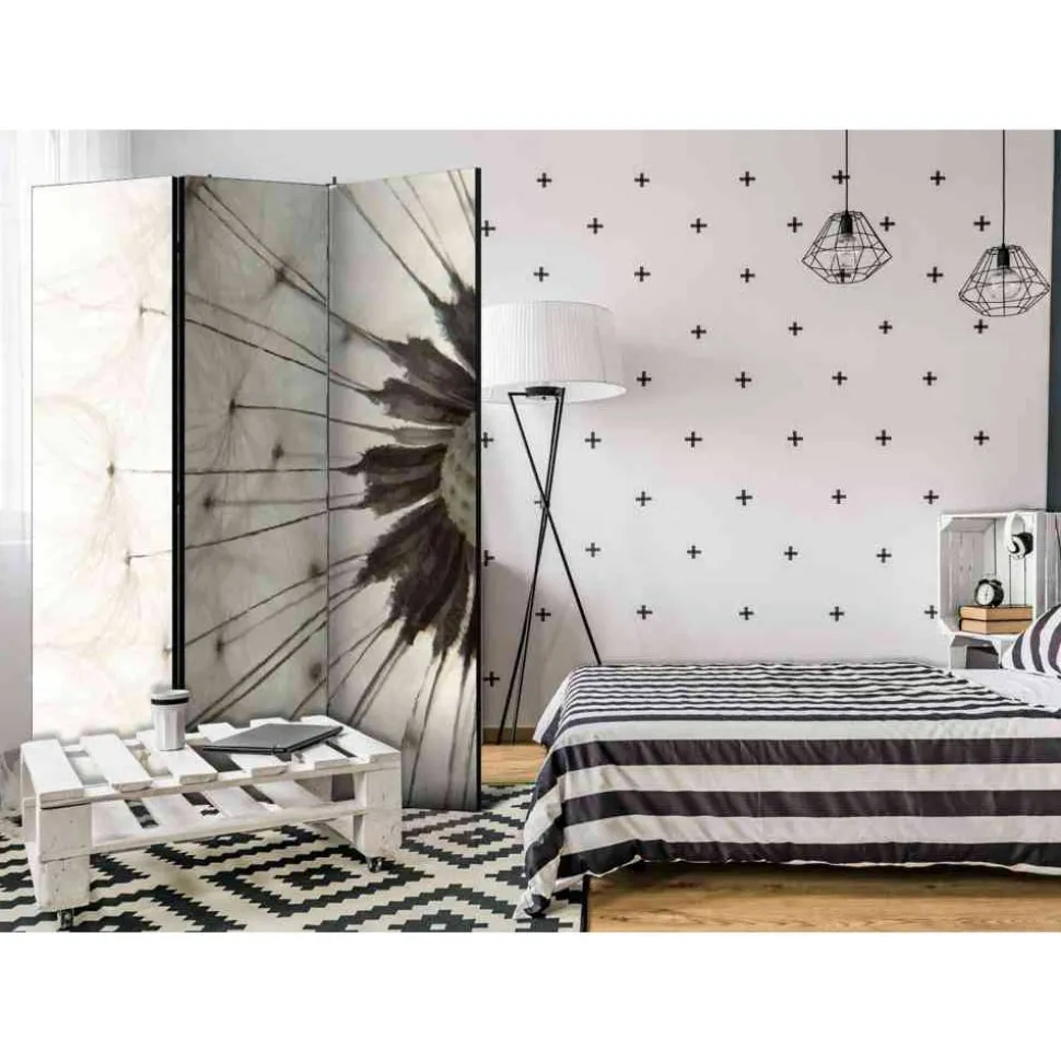 Foto Trennwand Nahaufnahme Pusteblume - Apulca