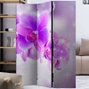 Fotodruck Leinwand Paravent mit Orchideen - Casper