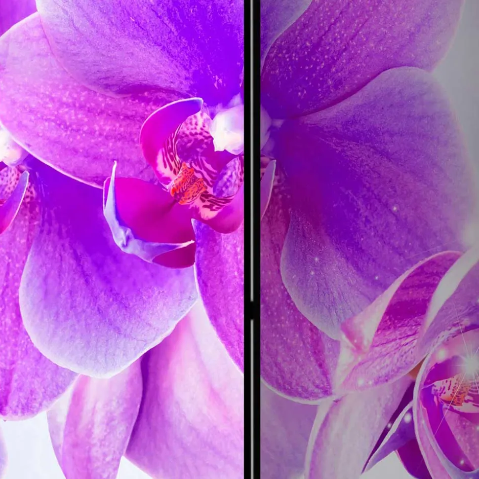 Fotodruck Leinwand Paravent mit Orchideen - Casper