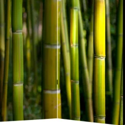 Fotodruck Paravent Bambus Halme & Blätter - Lecodas