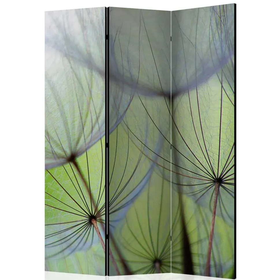 Fotoprint Paravent Close Up Pusteblume - Shalima