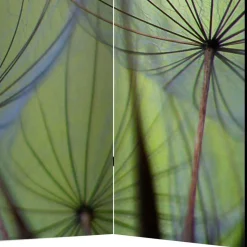 Fotoprint Paravent Close Up Pusteblume - Shalima
