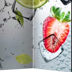 Fotoprint Raumtrenner mit Früchten Wasser Eis - Piratro