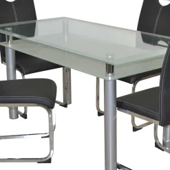 Glastisch & Freischwinger Stühle - Zaparony (fünfteilig)