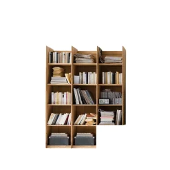 Holzregal Croconia aus Wildeiche Massivholz