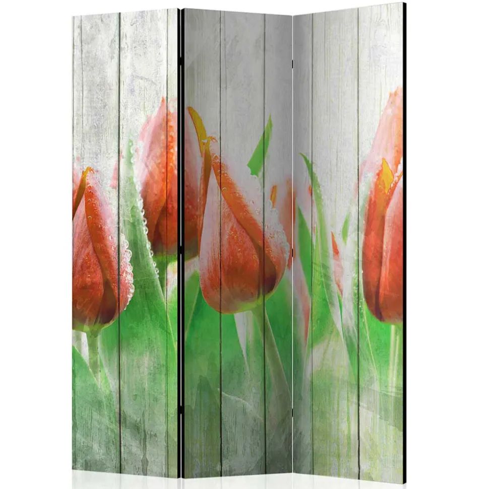 Kunstdruck Paravent Tulpen vor Holzwand - Filicudio