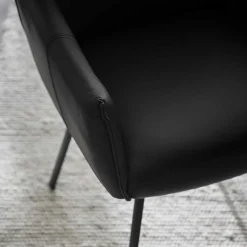 Leder Armlehnenstuhl in Schwarz - Iliandro (2er Set)