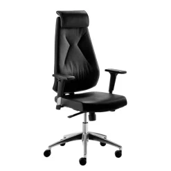 Leder Schreibtischstuhl in Schwarz - Bostaoro