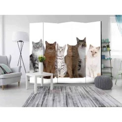 Leinwand Paravent mit Katzen Foto - Jalana