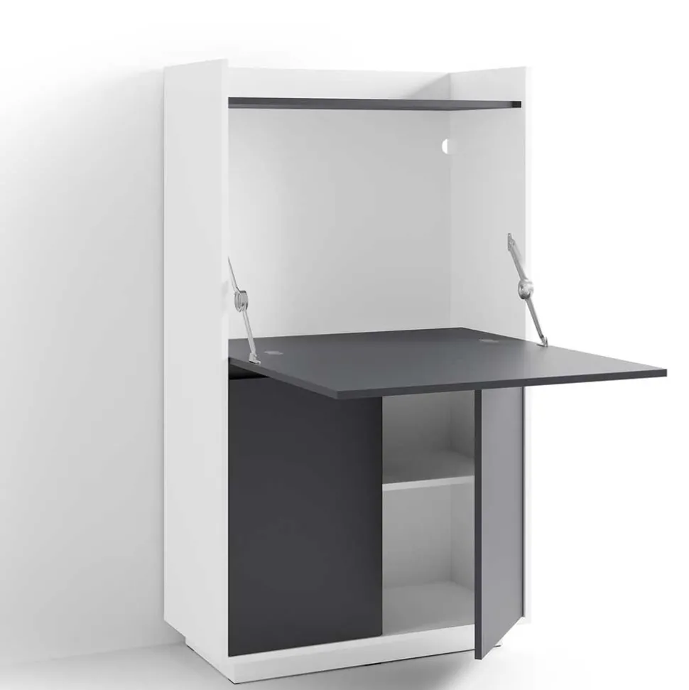Moderner Sekretär in Weiß und Anthrazit - Exotica