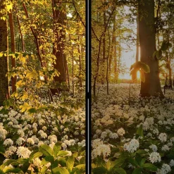 Naturmotiv Paravent Wald Bäume & Bärlauch - Sybila III