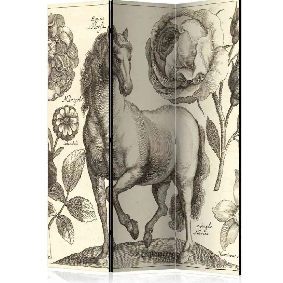 Nostalgie Paravent Pferd & Blumen - Ilea