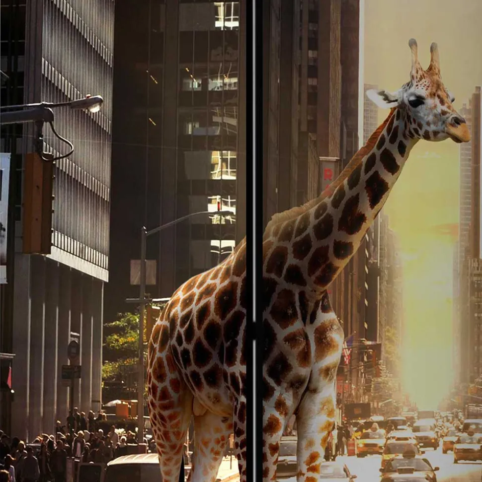 Paravent Giraffe in New York Fotokunst - Lisdonna