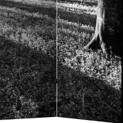 Paravent mit Schwarz-Weiss Druck Wald - Norte