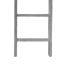 Regal Tanta in Leiterform