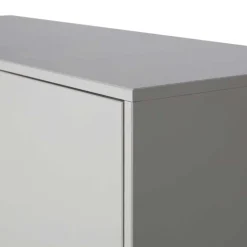 Schrank in Hellgrau und Schwarz - Aturin