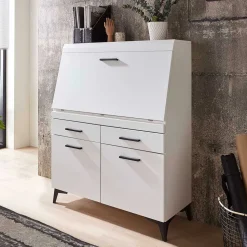 Schreibschrank mit Klappe & zwei Türen - Quakes