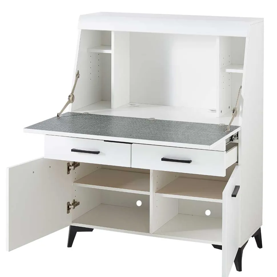 Schreibschrank mit Klappe & zwei Türen - Quakes