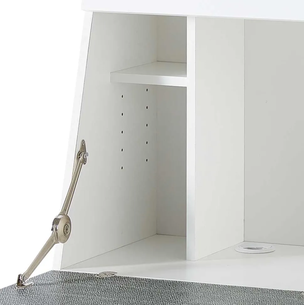 Schreibschrank mit Klappe & zwei Türen - Quakes