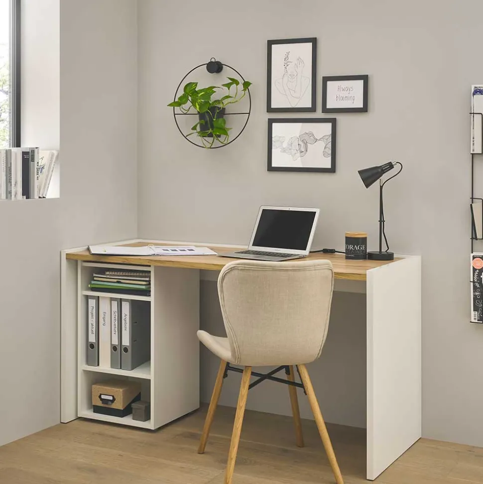 Schreibtisch & Regal Kombi - Nonessia (zweiteilig)
