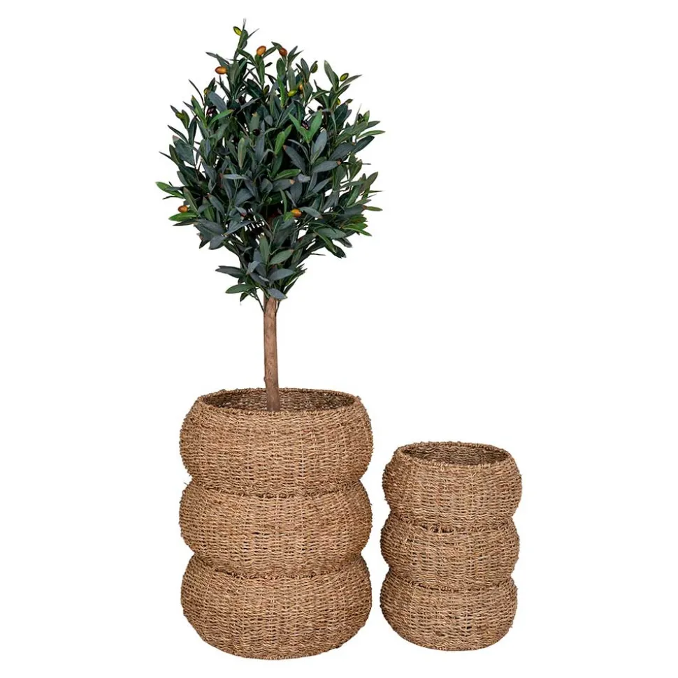 Seegras Körbe im Landhausstil - Lottessa (zweiteilig)