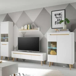 Skandi Designmöbel Wohnwand Set - Ginko (vierteilig)