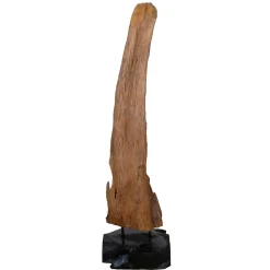 Treibholz Deko-Onjekt aus Teak Massivholz - Teako