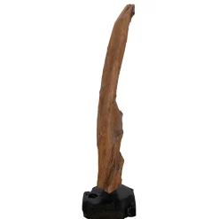 Treibholz Deko-Onjekt aus Teak Massivholz - Teako