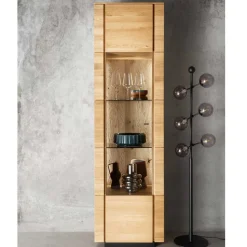 1-türige Standvitrine mit LED Beleuchtung - Annipurk