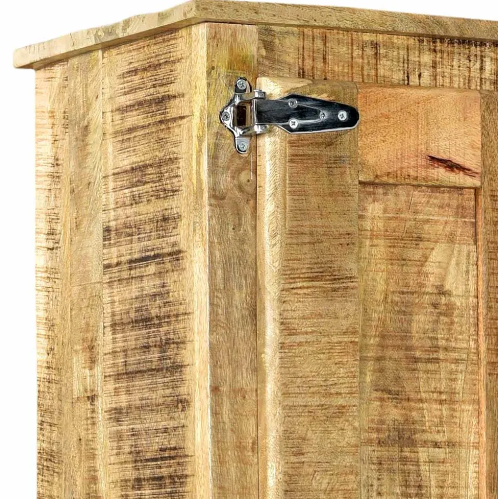 2-türiger Design Dielenschrank aus Mangobaum - Suennas