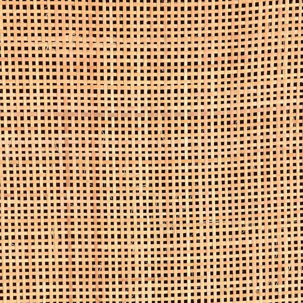 2-türiger Flurschrank aus Holz & Rattan Geflecht - Lazianus