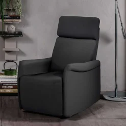 TV Wohnzimmersessel in Anthrazit - Zalona