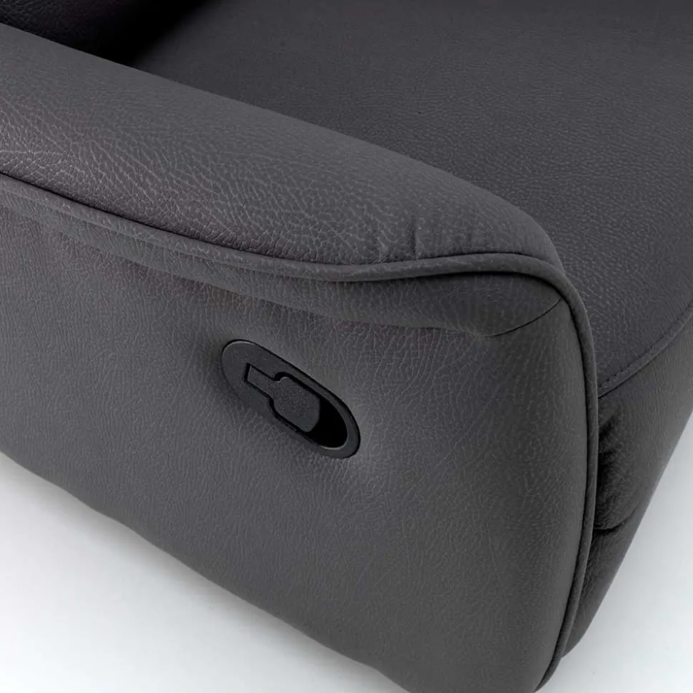 TV Wohnzimmersessel in Anthrazit - Zalona